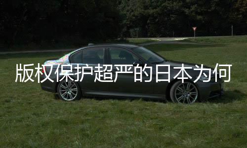 二创行的日地带版权保护本为人文业界何同化盛灰色揭秘超严