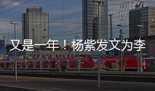 学李现乐 老同日快又是一年杨生庆生紫发文为