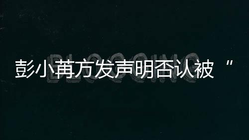 明否彭小序动诉发声苒方认被规则将启讼程潜