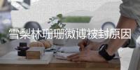 雪梨林珊珊微博被封原因  雪梨真名字原名是什么