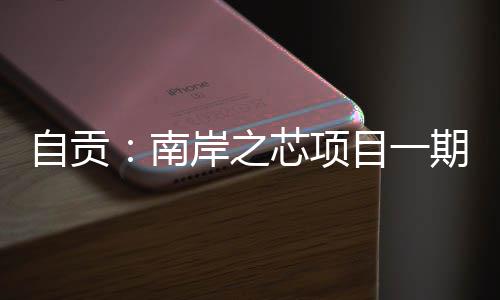目一岸之芯项南过竣工验收期通自贡