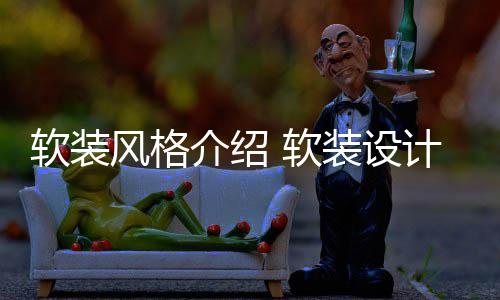 点是风格软装 软介绍计优什么装设