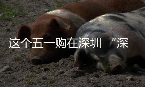 享生动开费活购在活深圳深圳启这个之约五一 畅促消